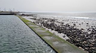 2024-03-Playa_La_Caleta-047.jpg